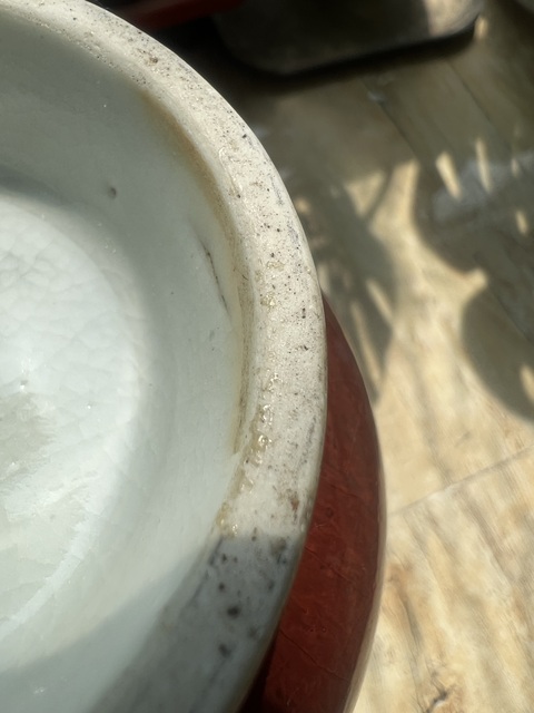 古玩陶瓷郎紅釉撇口瓶真品鑒賞圖