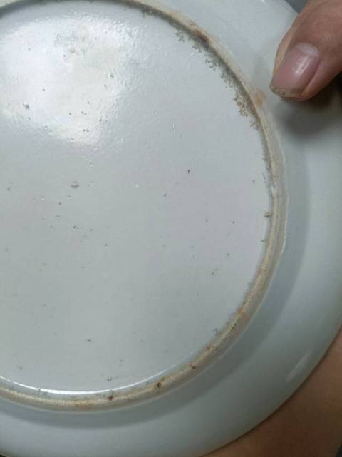 古玩陶瓷人物廣彩盤真品鑒賞圖