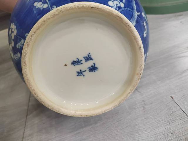 古玩陶瓷冰梅瓶真品鑒賞圖