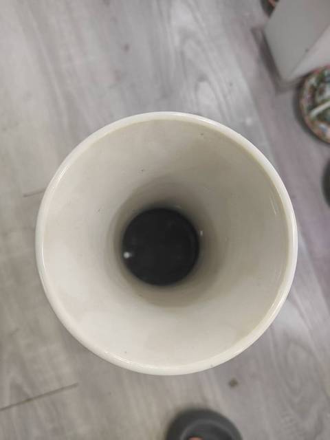 古玩陶瓷冰梅瓶真品鑒賞圖