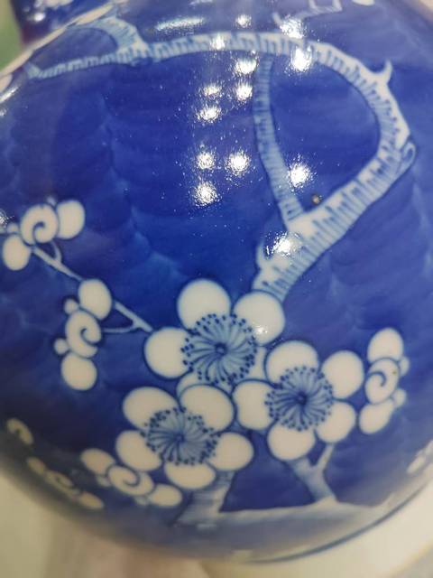 古玩陶瓷冰梅瓶真品鑒賞圖