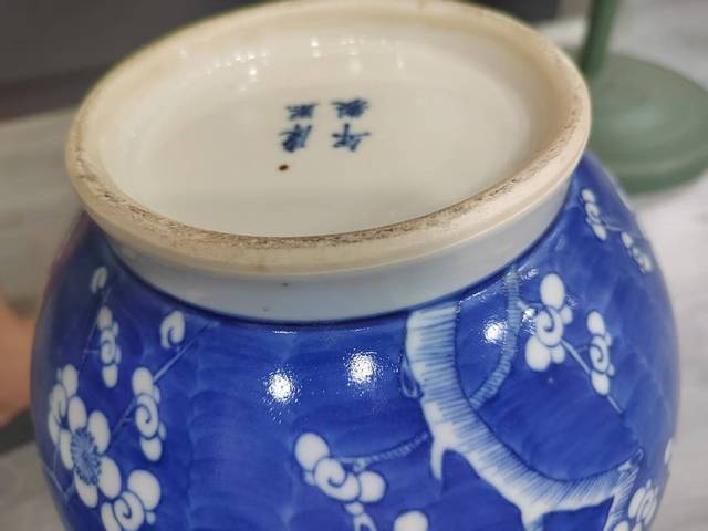 古玩陶瓷冰梅瓶真品鑒賞圖