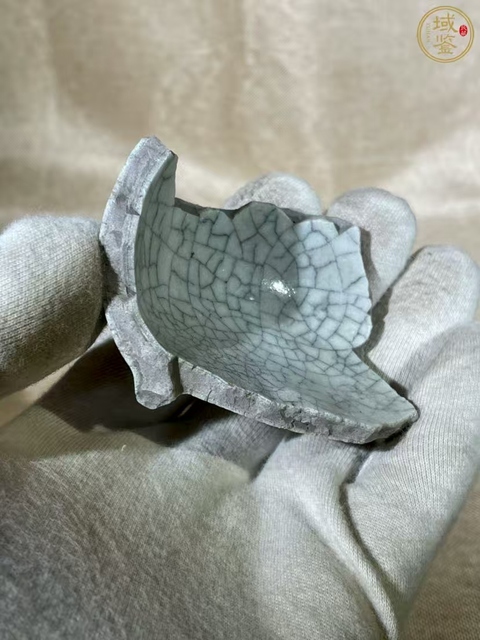 古玩陶瓷哥窯標本真品鑒賞圖