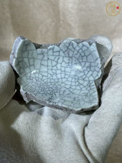 古玩陶瓷哥窯標本真品鑒賞圖
