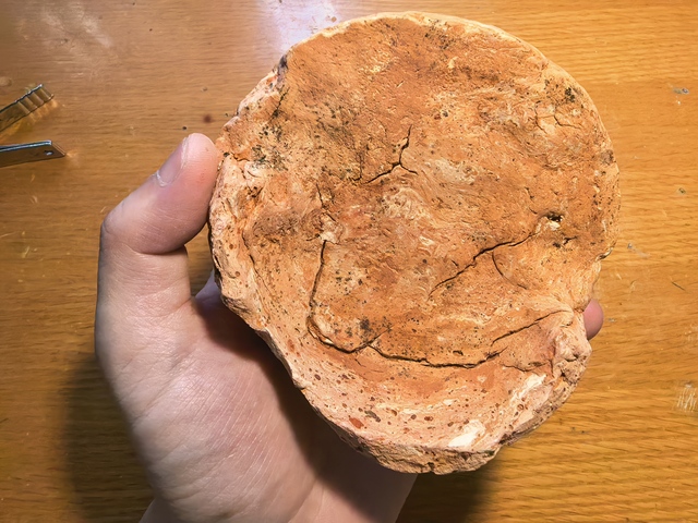 古玩陶瓷瓦當真品鑒賞圖