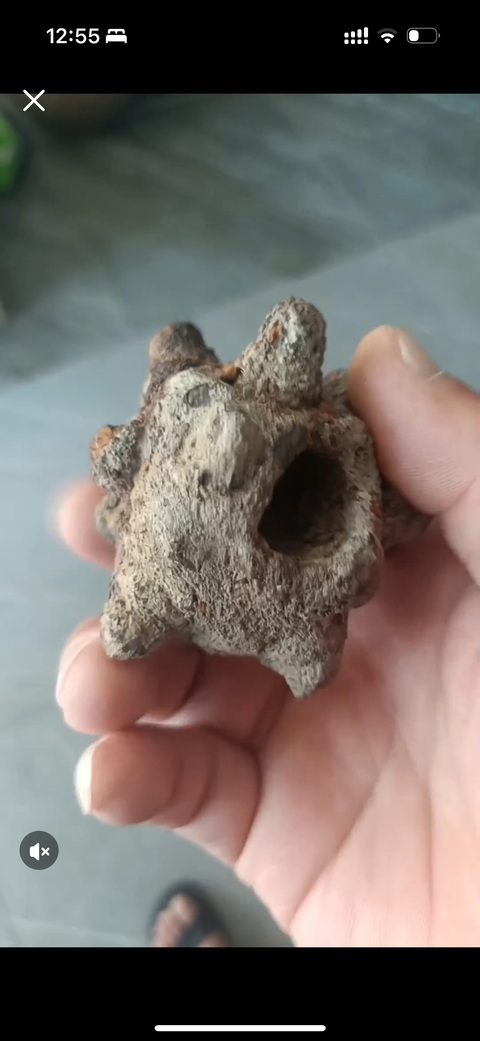 古玩銅器錘頭真品鑒賞圖