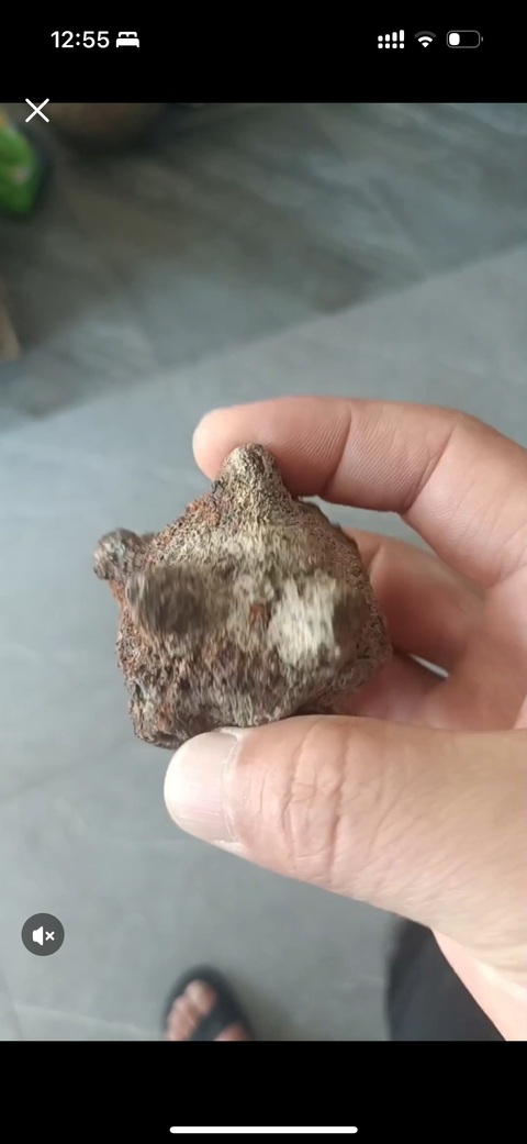 古玩銅器錘頭真品鑒賞圖