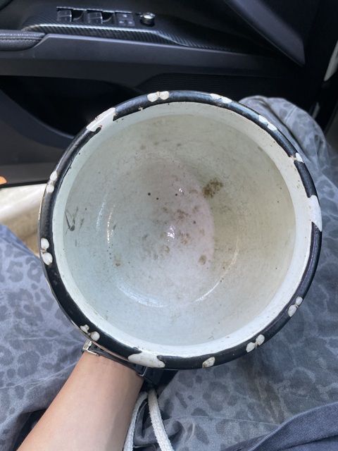 古玩陶瓷墨地粉彩罐真品鑒賞圖