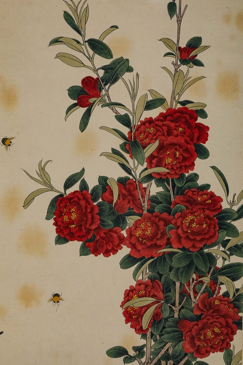 古玩字畫于非闇工筆花鳥立軸真品鑒賞圖