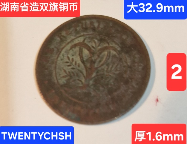 古玩錢幣湖南省造雙旗銅元真品鑒賞圖