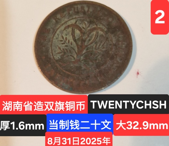 古玩錢幣湖南省造雙旗銅元真品鑒賞圖