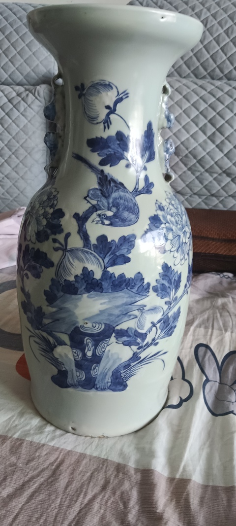 古玩陶瓷花鳥紋豆青釉青花雙對獅耳盤口瓶真品鑒賞圖