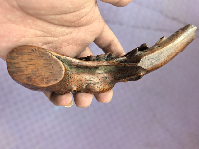 古玩雜項沉香木雕刻的梅花枝真品鑒賞圖
