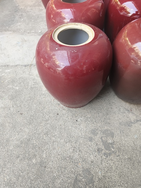 古玩陶瓷郎紅釉冬瓜罐真品鑒賞圖