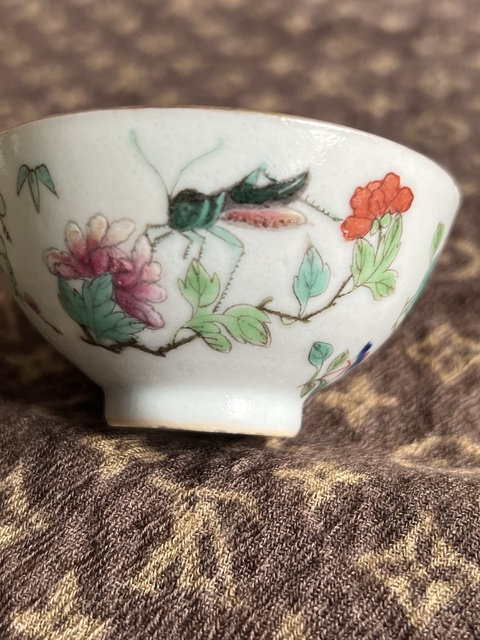 古玩陶瓷粉彩蟲草紋茶碗真品鑒賞圖