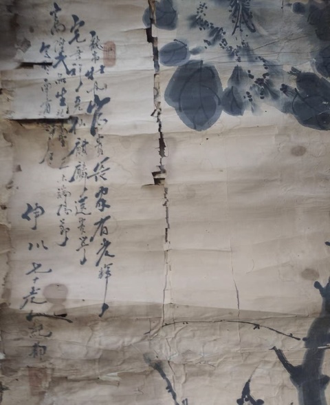 古玩字畫牡丹富貴真品鑒賞圖
