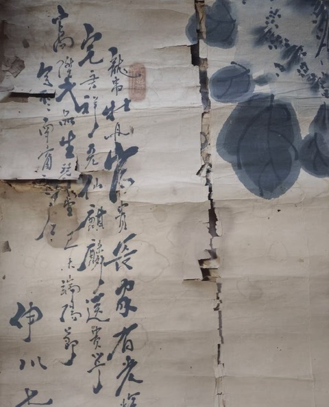 古玩字畫牡丹富貴真品鑒賞圖