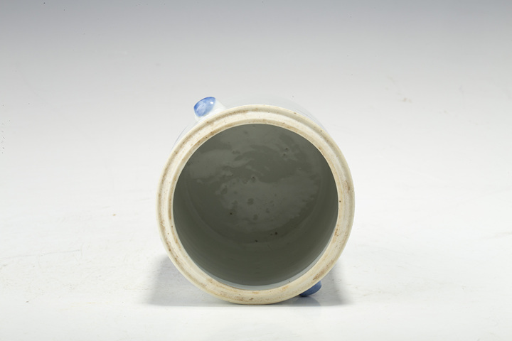 古玩陶瓷晚清·青花花鳥紋蓋缸真品鑒賞圖