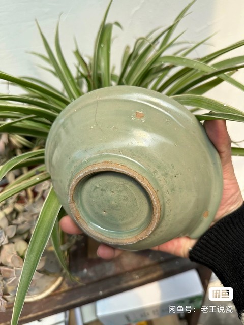 古玩陶瓷雙魚紋印花龍泉窯青釉折沿洗標本真品鑒賞圖