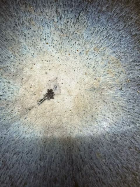 古玩陶瓷元鈞碗真品鑒賞圖
