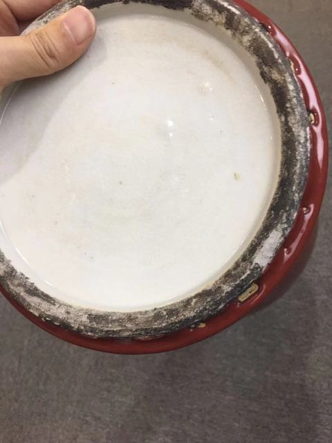 古玩陶瓷郎紅釉觀音瓶真品鑒賞圖