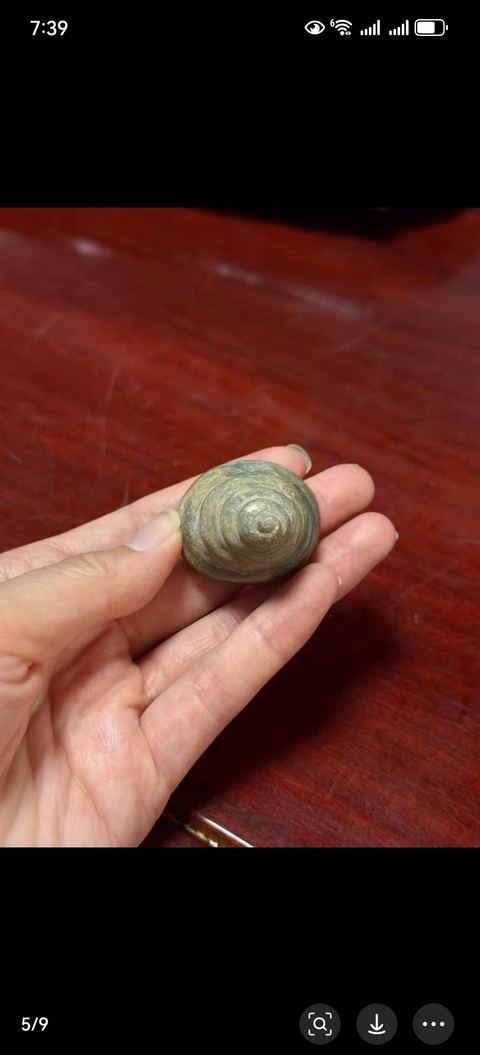 古玩玉器仿古玉法螺型件真品鑒賞圖