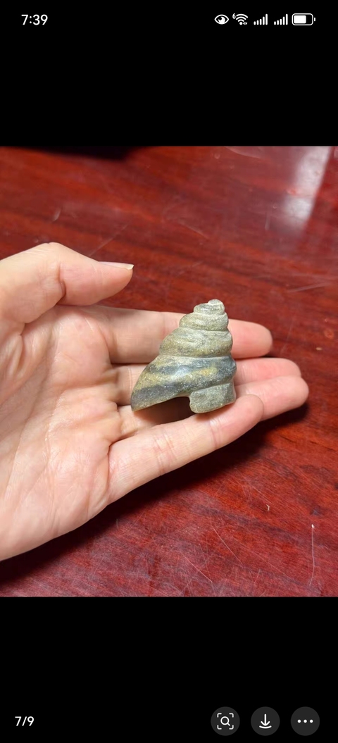 古玩玉器仿古玉法螺型件真品鑒賞圖