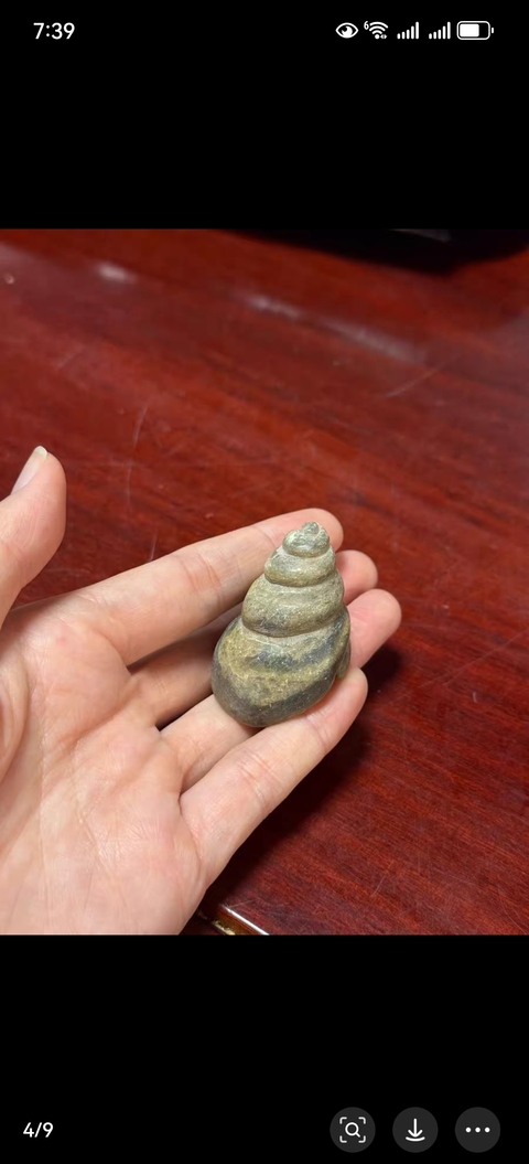 古玩玉器仿古玉法螺型件真品鑒賞圖