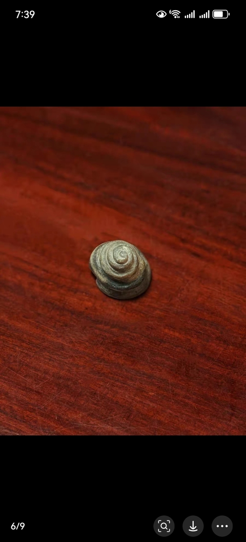 古玩玉器仿古玉法螺型件真品鑒賞圖
