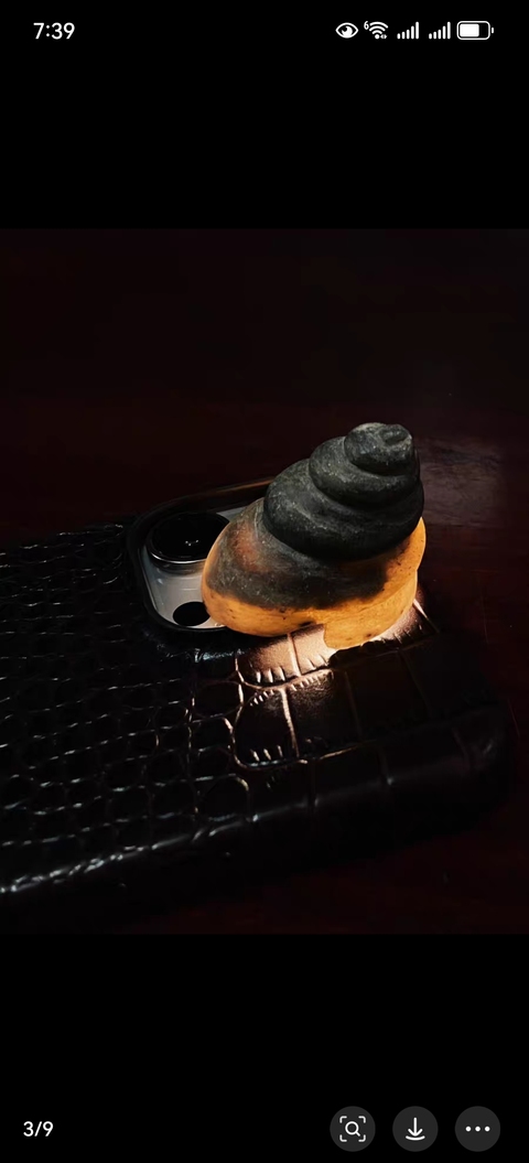 古玩玉器仿古玉法螺型件真品鑒賞圖