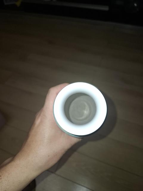 古玩陶瓷民國粉彩瓶真品鑒賞圖