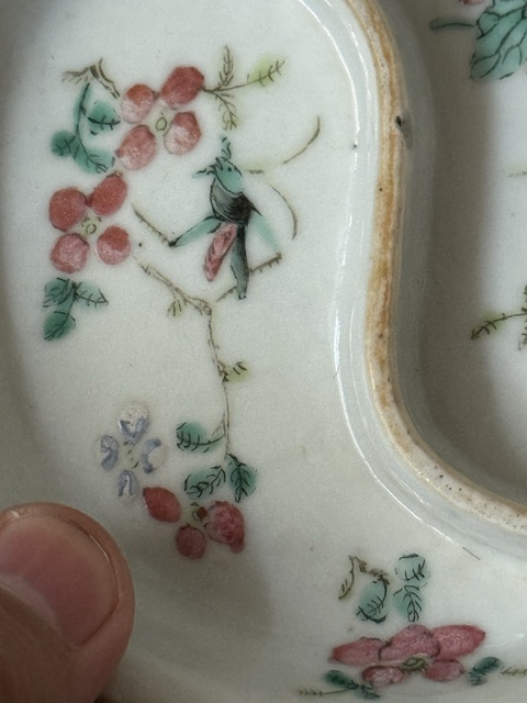 古玩陶瓷一鳴驚人粉彩格盤真品鑒賞圖