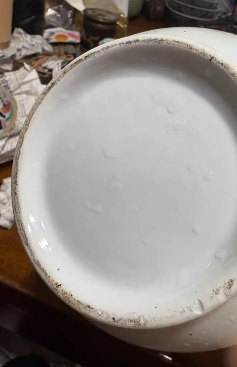 古玩陶瓷白釉蒜頭瓶真品鑒賞圖