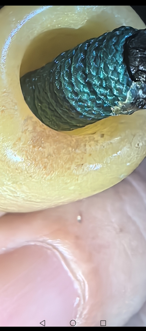 古玩玉器天然黃玉管真品鑒賞圖