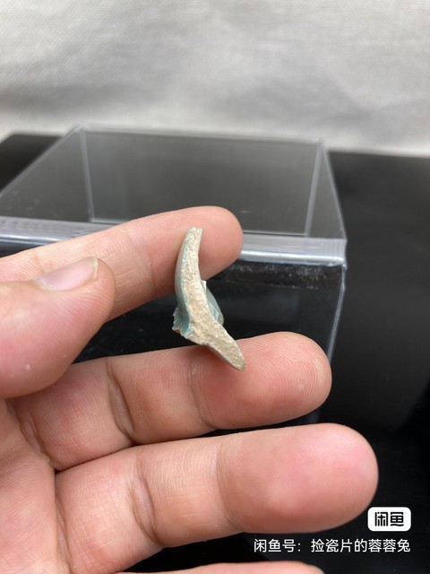 古玩陶瓷青瓷標本真品鑒賞圖