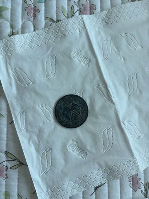 古玩錢幣湖南省造雙旗二十文銅元真品鑒賞圖