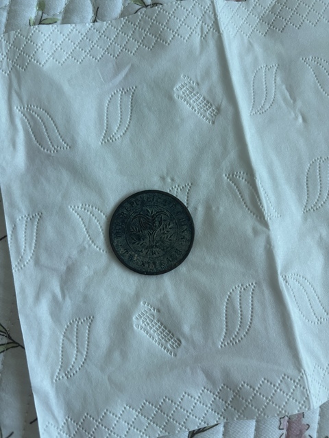 古玩錢幣湖南省造雙旗二十文銅元真品鑒賞圖