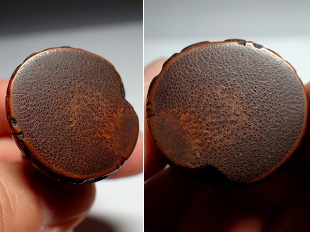 古玩雜項竹刻小獸真品鑒賞圖