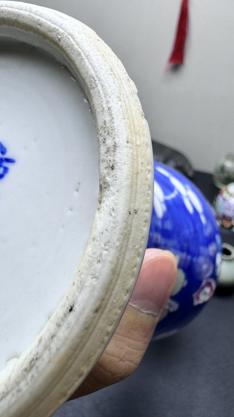 古玩陶瓷光緒青花冰梅瓶真品鑒賞圖