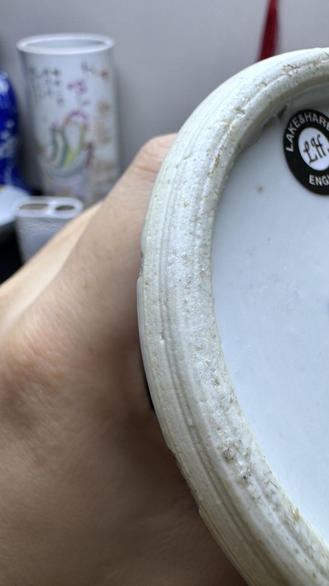 古玩陶瓷光緒青花冰梅瓶真品鑒賞圖