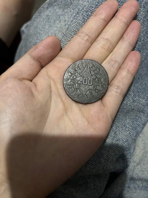 古玩錢幣四川兩百文銅元真品鑒賞圖