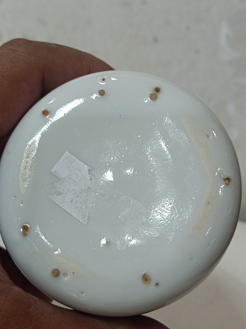 古玩陶瓷魚藻紋水盂真品鑒賞圖