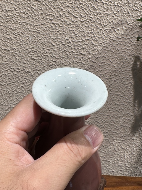 古玩陶瓷清晚期豇豆紅玉壺春瓶拍賣,當前價格16000元