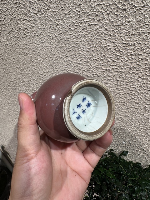 古玩陶瓷清晚期豇豆紅玉壺春瓶拍賣,當前價格16000元