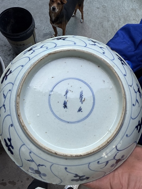 古玩陶瓷如意靈芝紋青花盤真品鑒賞圖