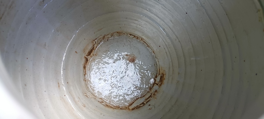 古玩陶瓷壽字紋青花礬紅罐真品鑒賞圖