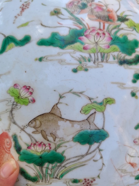 古玩陶瓷連年有余蓮池游禽滿池嬌粉彩缸真品鑒賞圖