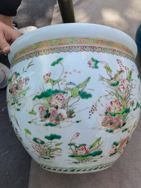 古玩陶瓷連年有余蓮池游禽滿池嬌粉彩缸真品鑒賞圖