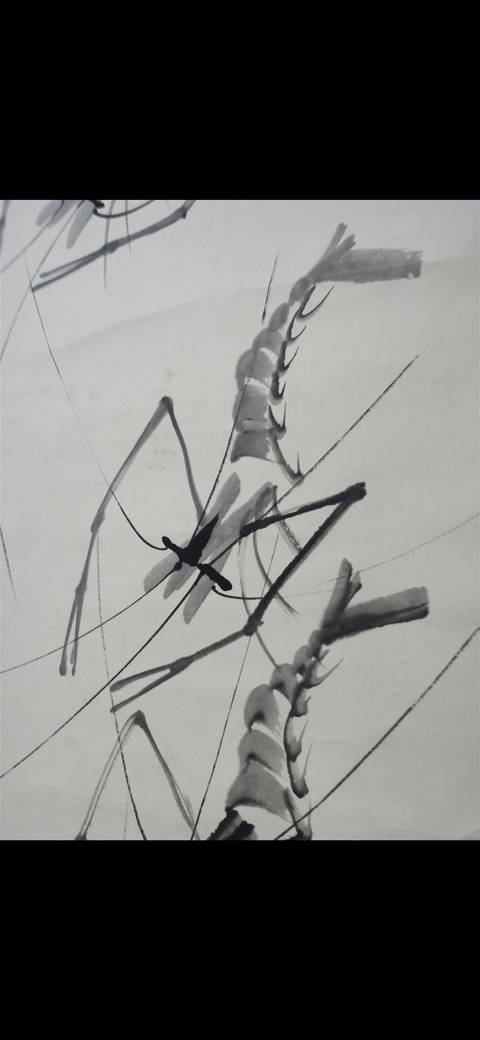 古玩字畫群蝦圖真品鑒賞圖