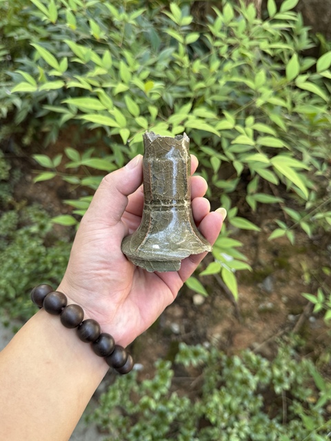 古玩陶瓷龍泉窯青釉標本真品鑒賞圖